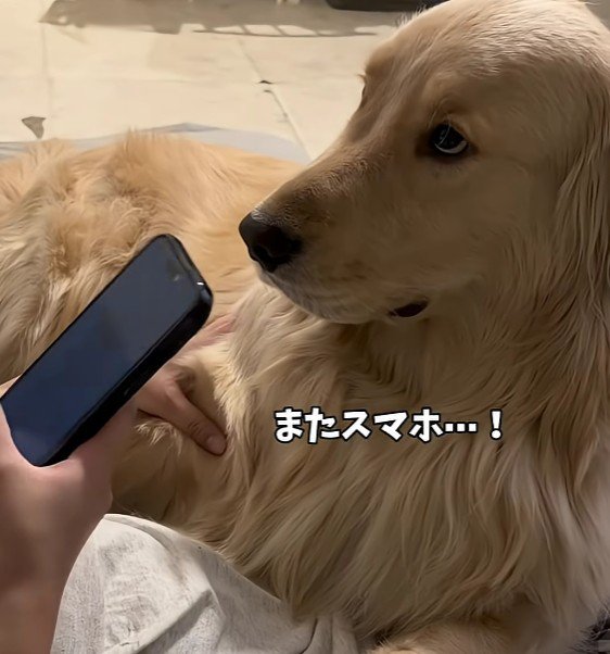 「またスマホ…！」