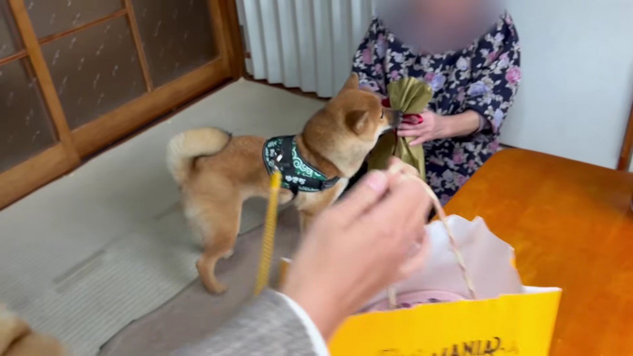 「長生きしてね！！」