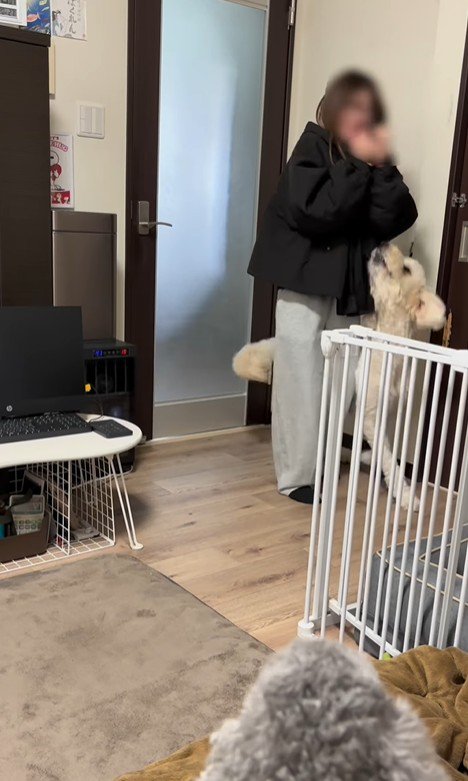 ソラちゃんの熱烈歓迎4