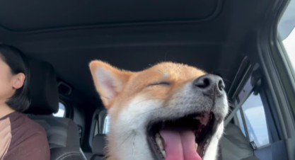 ドライブの真っ只中に大あくび