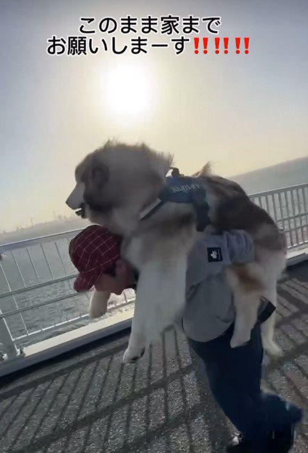絶景を堪能する紅ちゃん