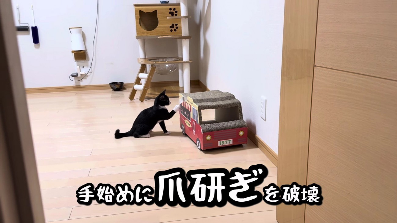 バーニーちゃんを真似て…