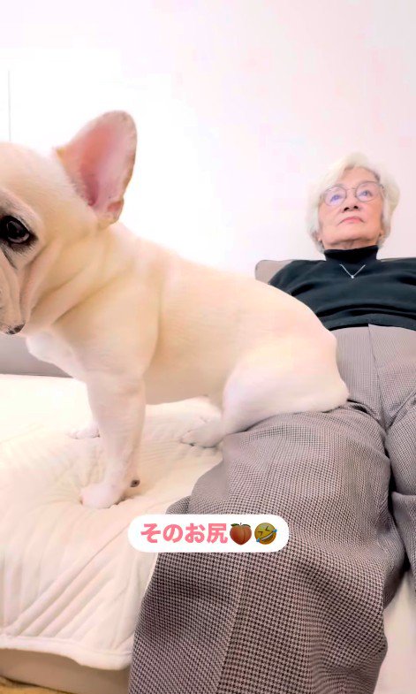 エルモくんとおばあちゃんの日常3