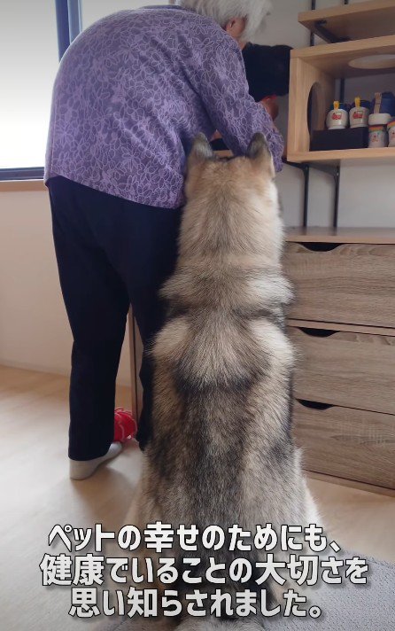 これからも元気でね！