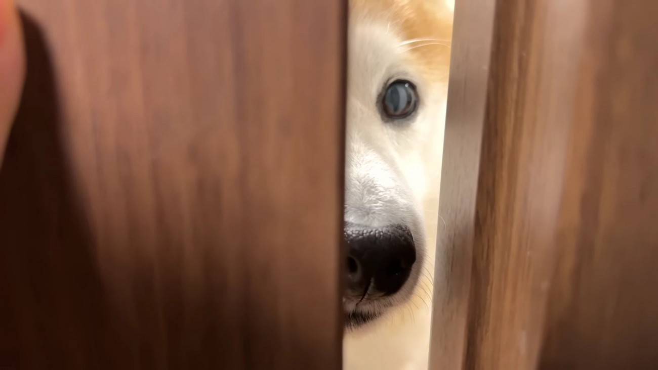 そーっと開けてみると…