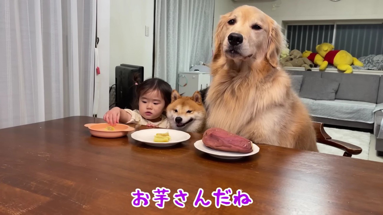 まだかな、まだかな～