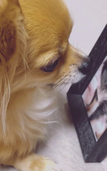 感情が溢れてしまう