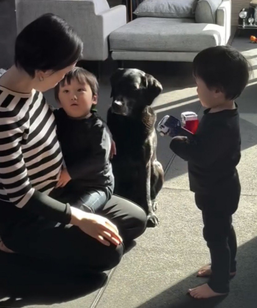 お座りしている犬