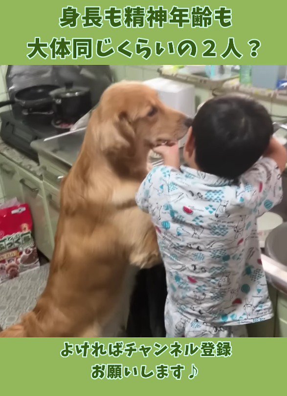 仲睦まじい後ろ姿にホッコリ