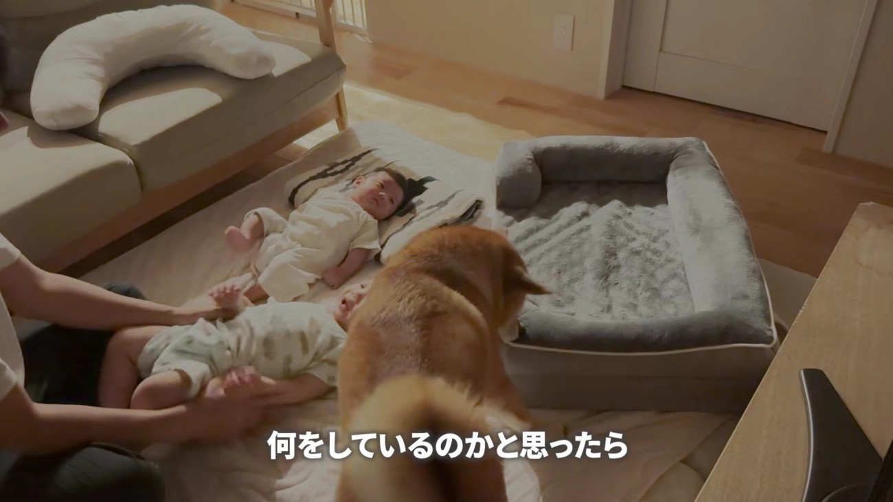 自分のベッドを持ってる！！