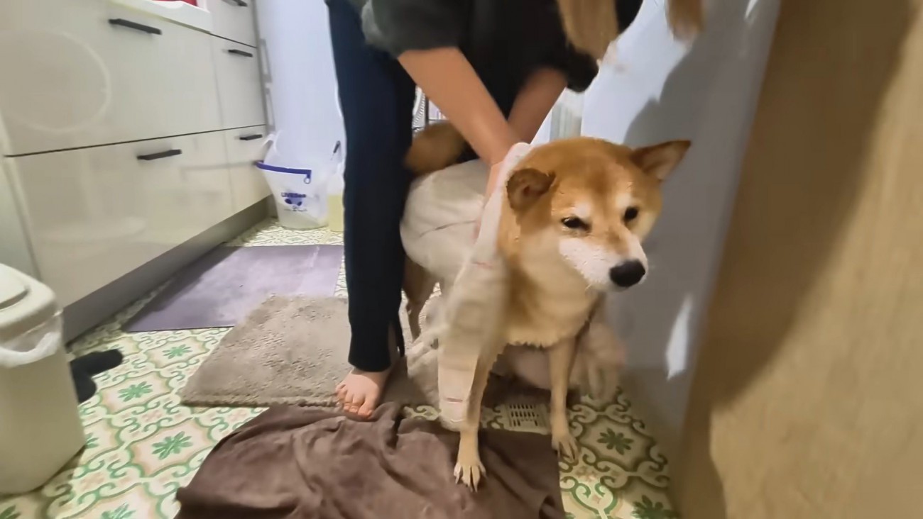 シャンプーをするスティーブくん9