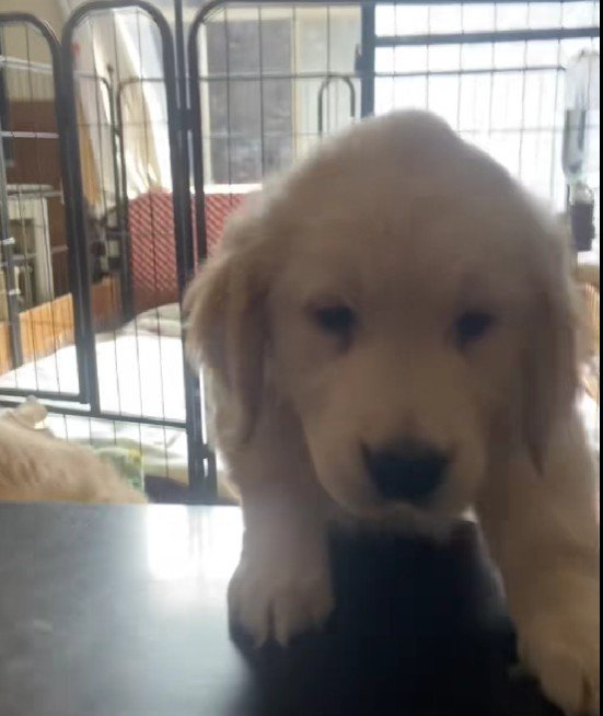 羨ましすぎる光景でした♡