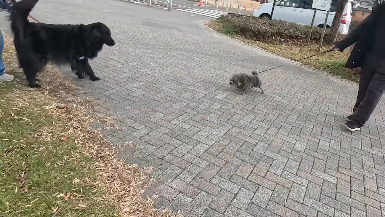 近づこうとしたら…