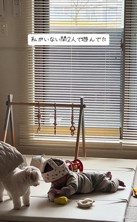 おもちゃで遊ぶワンコと赤ちゃん⑩