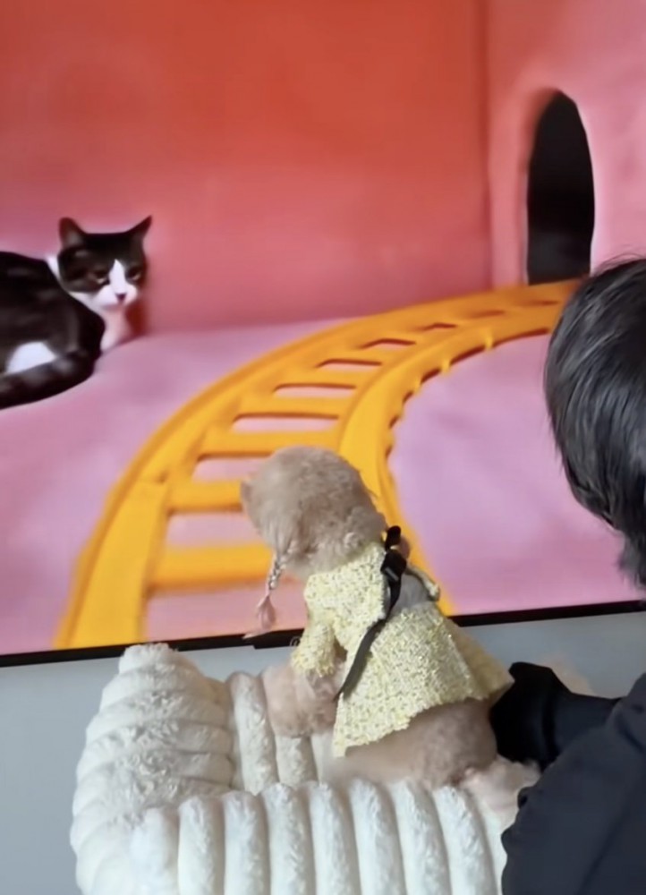 全猫に吠えていくスタイル