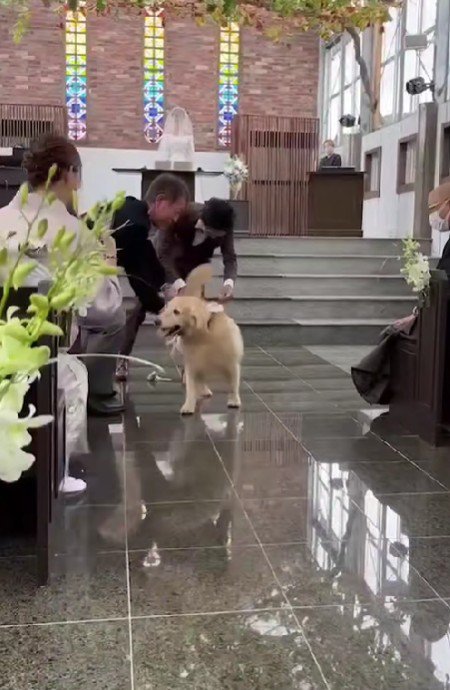 「まだタッチしていない人、いる？」