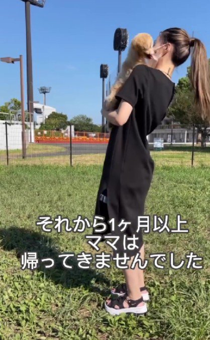 1ヶ月がたったころ…