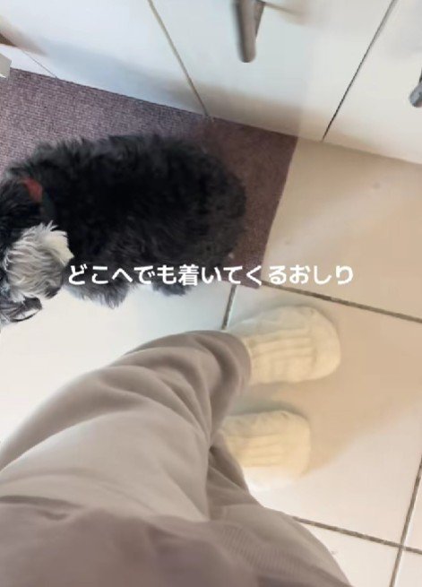 「もう離れないでね」