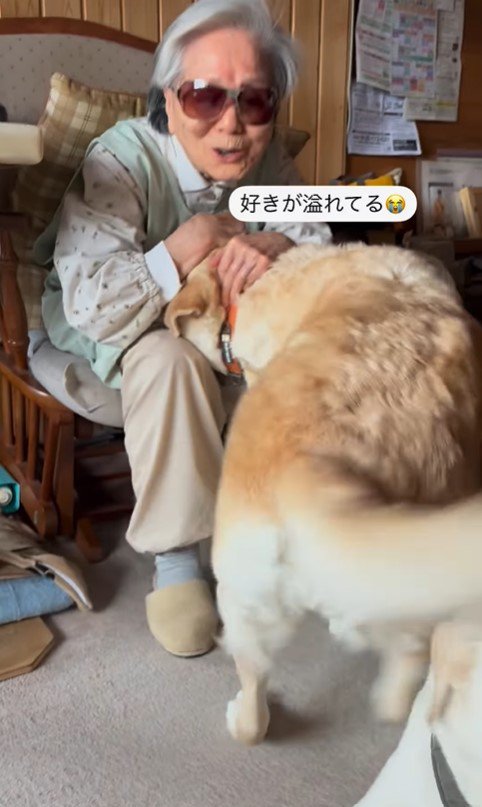 ララちゃんとユーザーさんの再会9