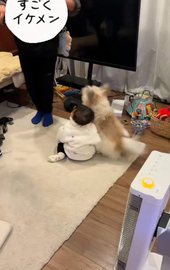 吠える小太郎くん