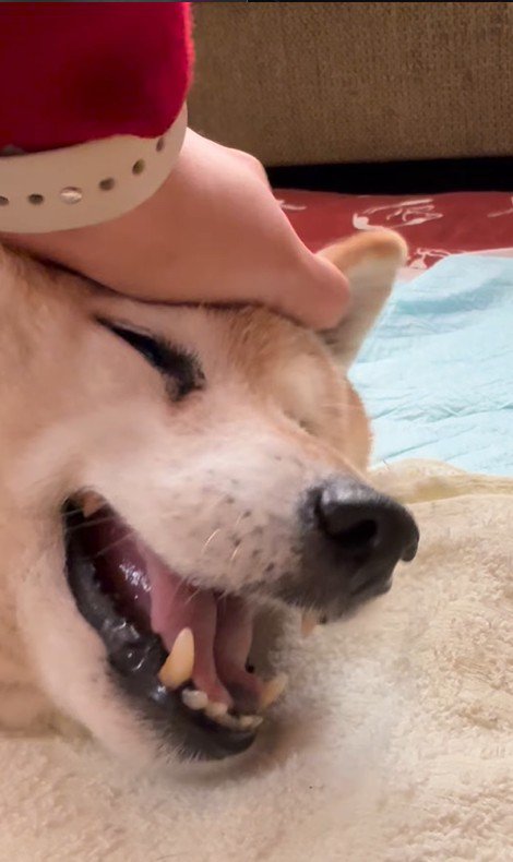 満開の笑顔に♡