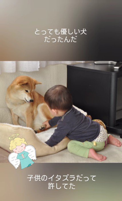 とっても優しい子だったとか