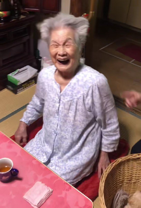 子犬がいた！！