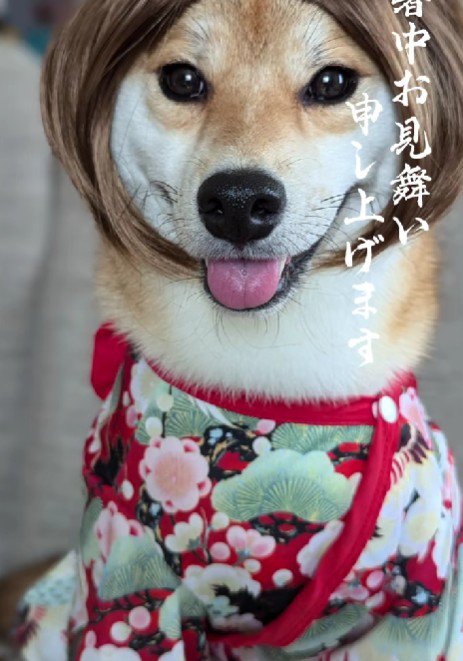 ニコニコ笑顔で和装♪