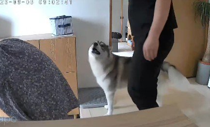 おばあちゃんが発熱