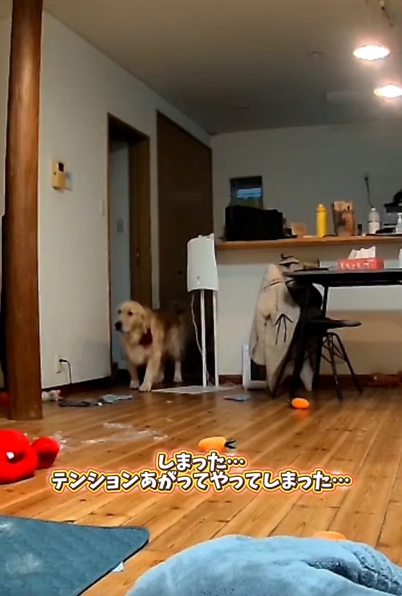 いたずらをしたこむぎ君