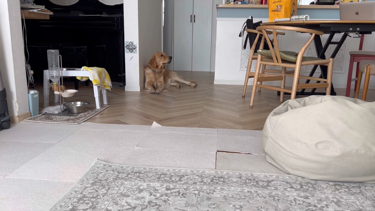 ベッドが羨ましいぷりんくん5