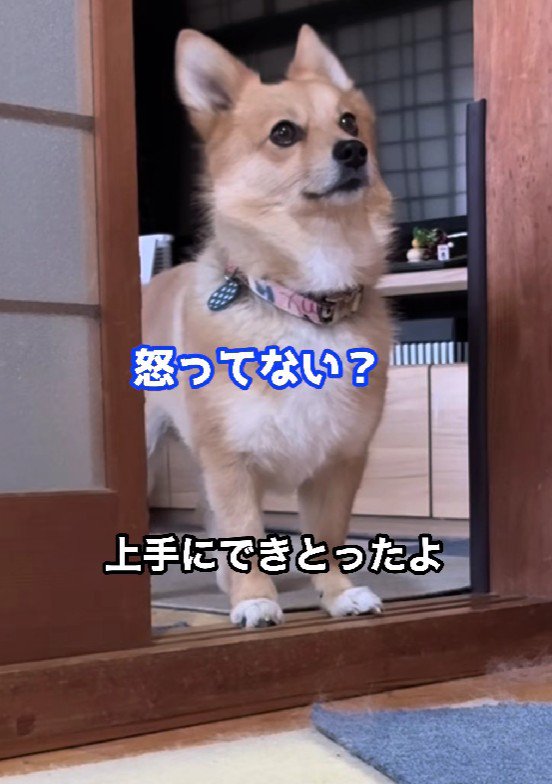 「ほんとに？」
