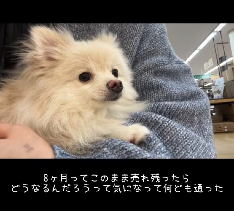 家族として迎えることに