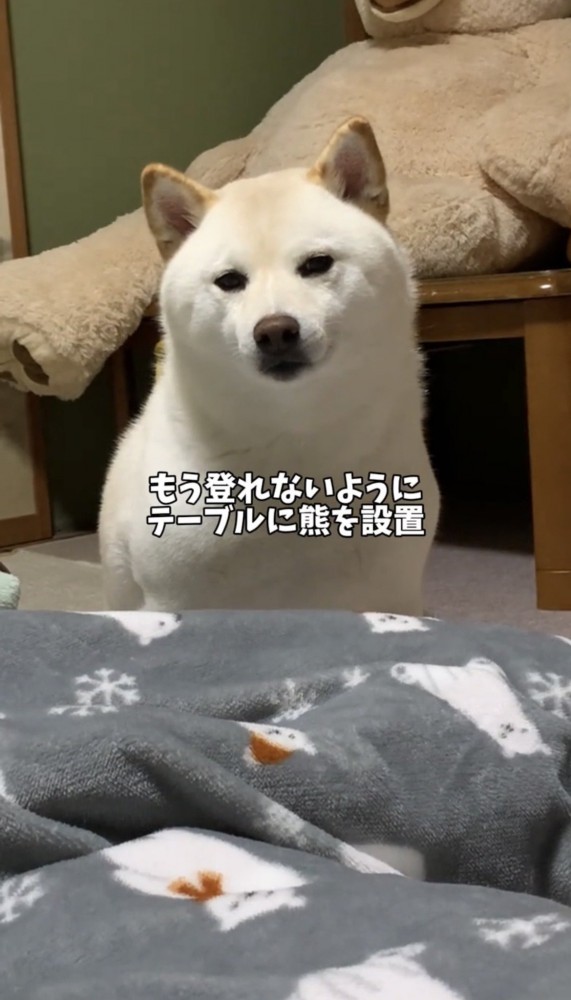 テーブル前に置かれた大きなぬいぐるみ