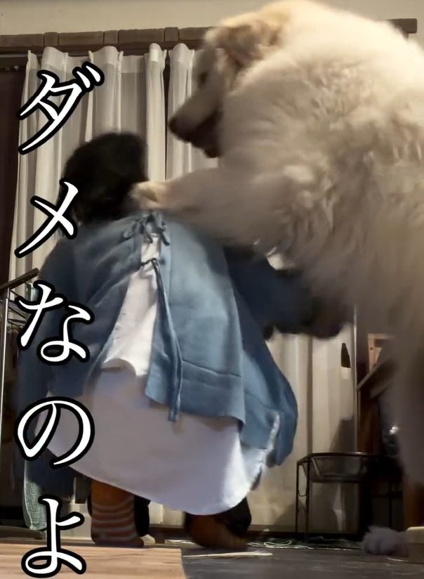 ママを押し倒すシェリーちゃん