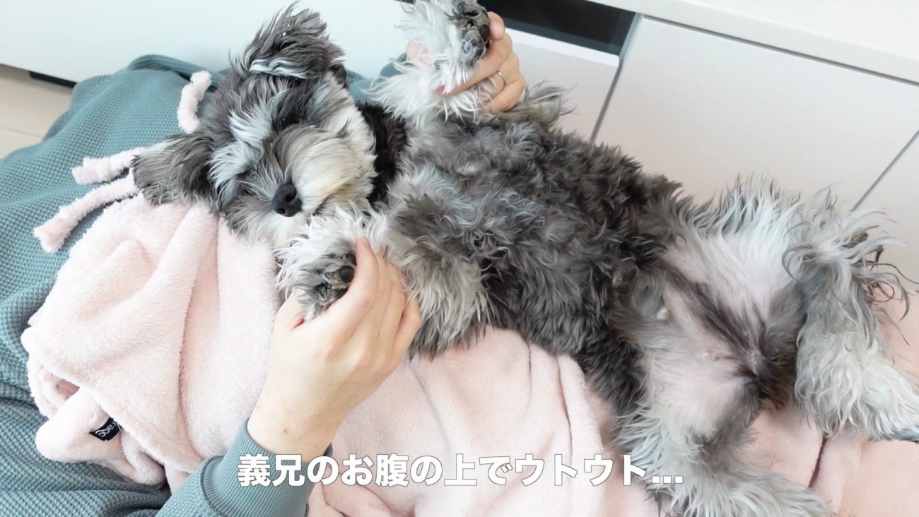 旦那さんと一緒にお昼寝♪