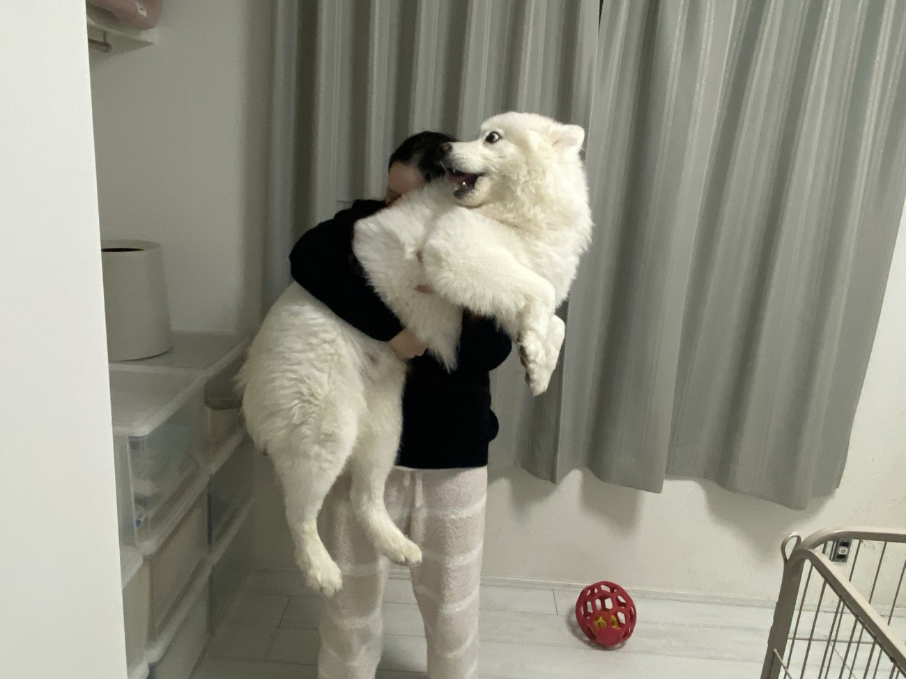 衝撃