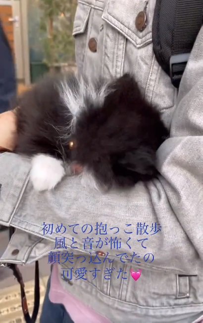 腕の中に隠れるレイくん