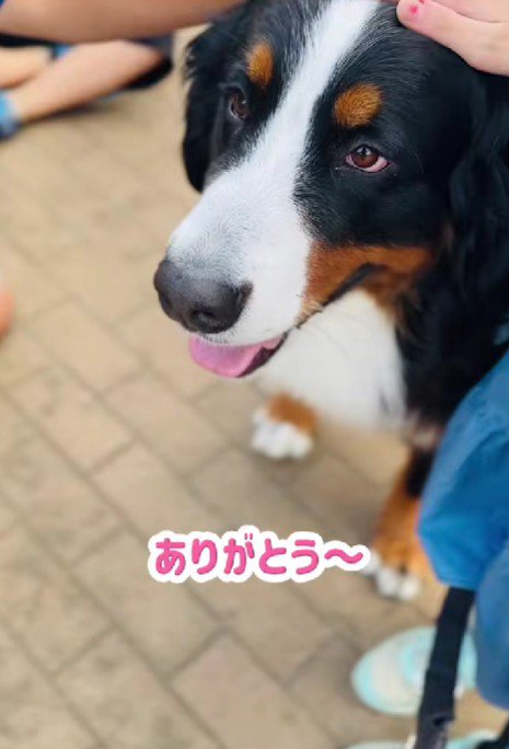 待ってたら会えた！！