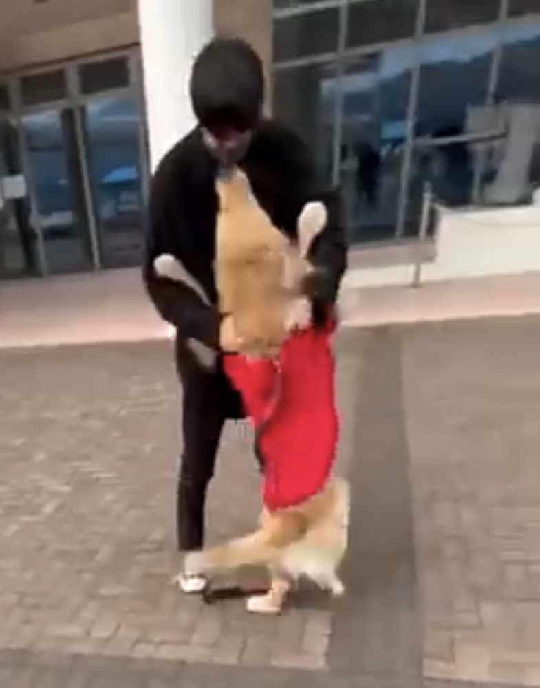 男性に抱きつく犬