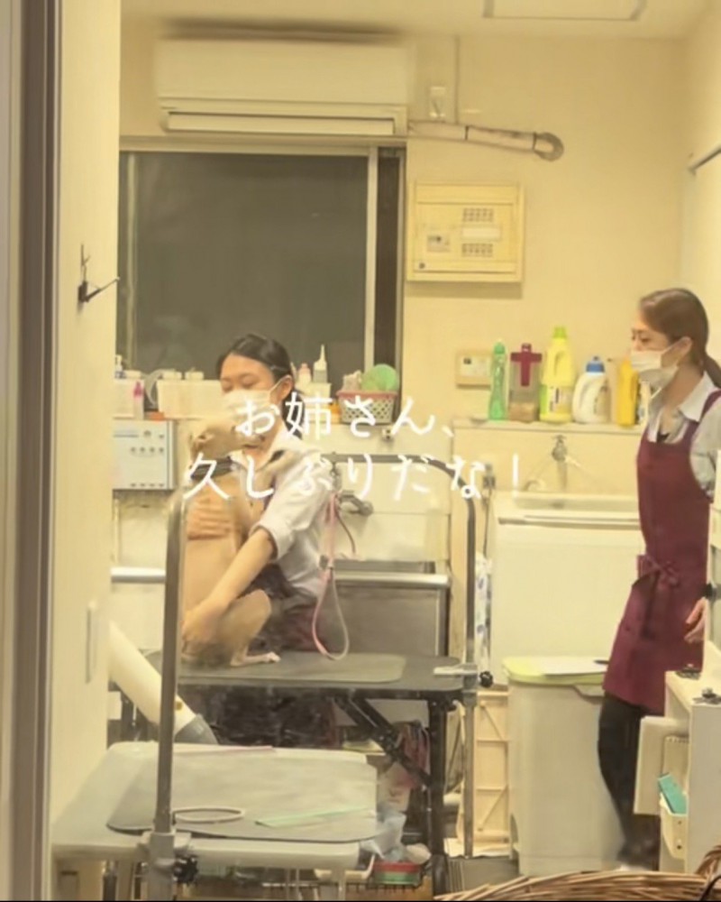 お姉さんにハグする犬と、もう1人歩いてくる別のお姉さん