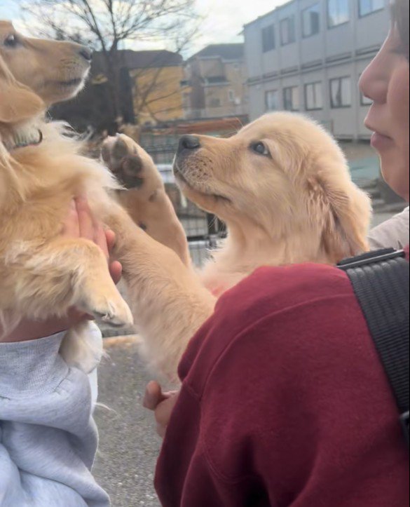 みるくちゃんともご挨拶