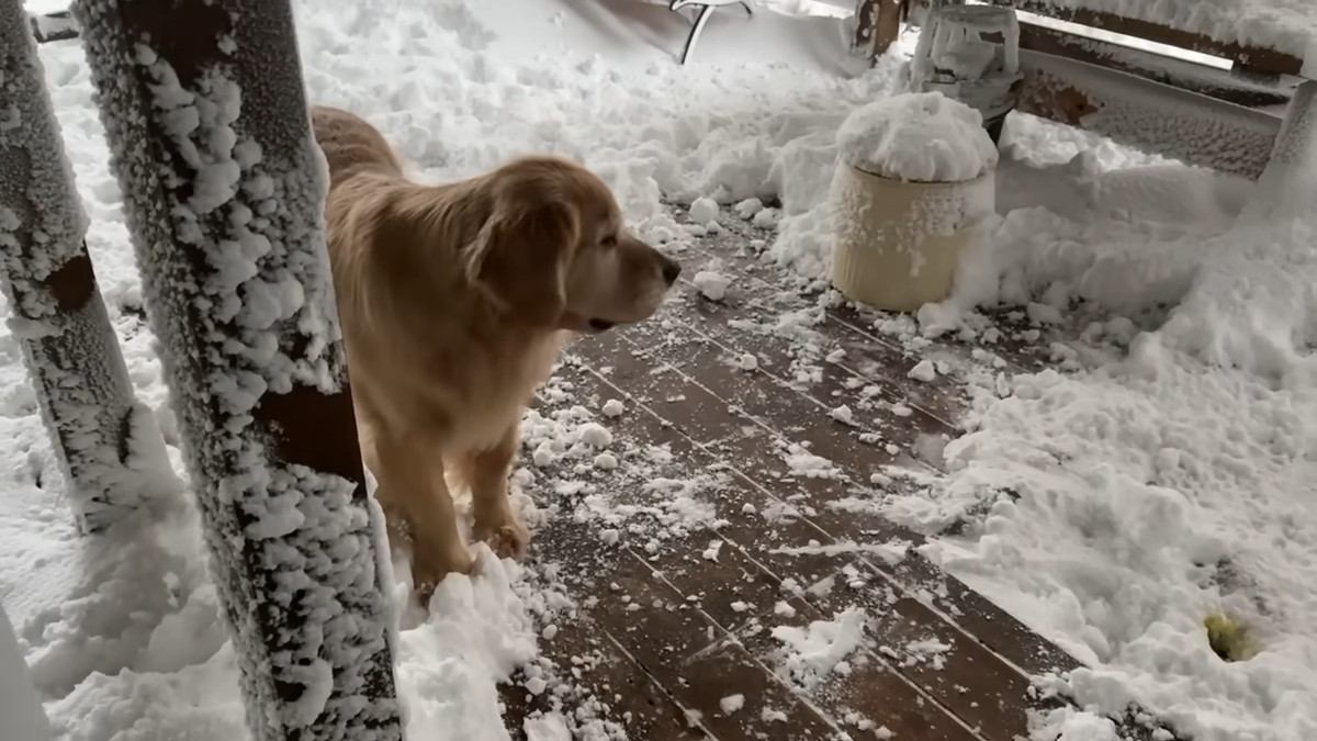 明け方、窓の外は吹雪