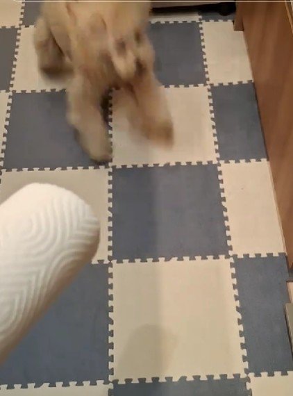 荒ぶる姿にクスッ♪