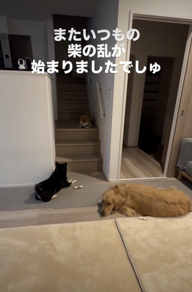 「また始まっちゃたぁ…」