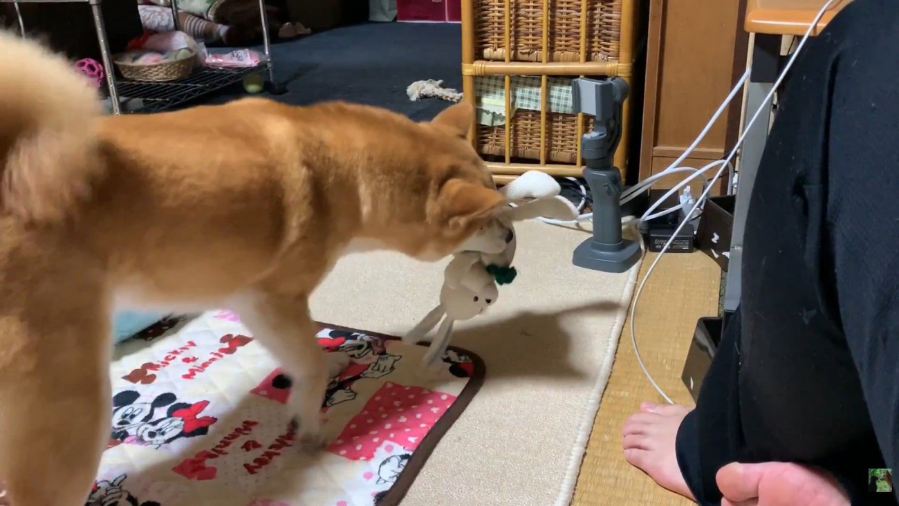 「おもちゃで遊ぼう！」