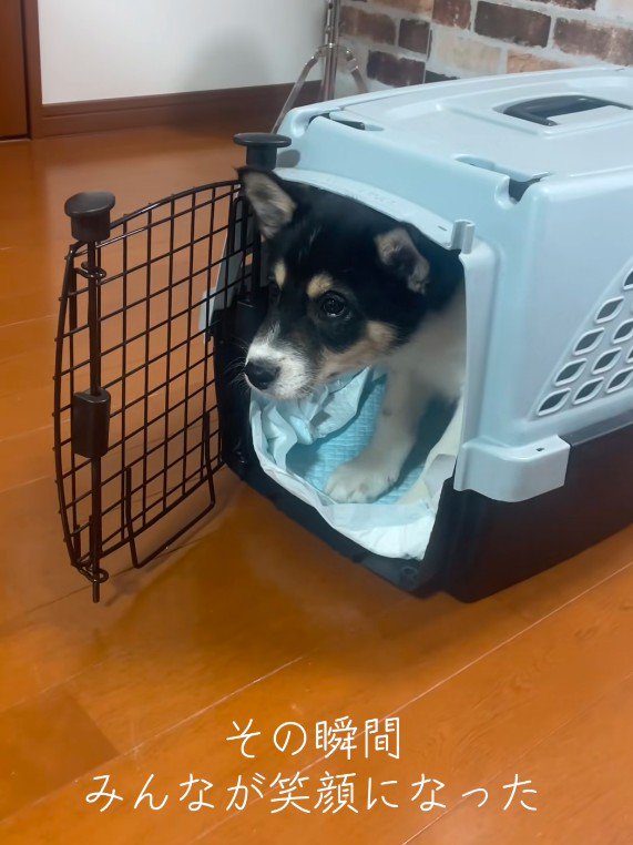 愛され力にホッコリ