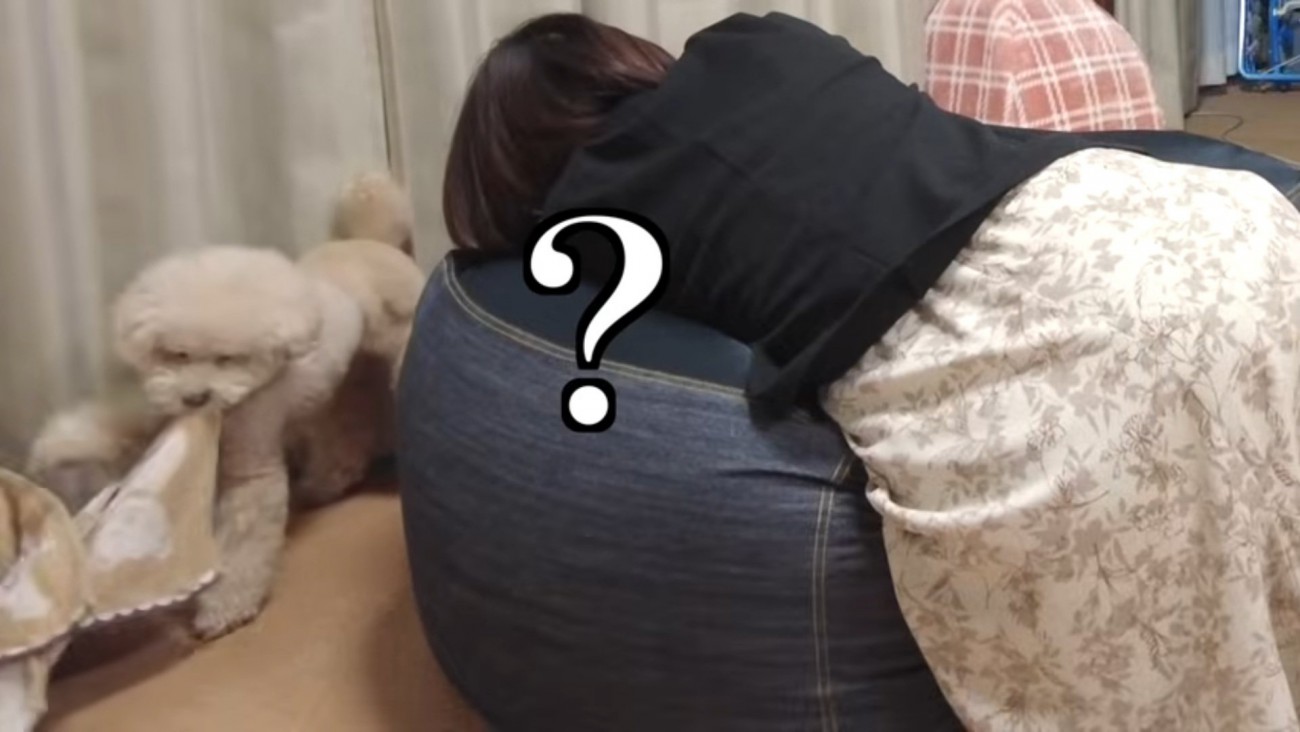 毛布をもってきた三桜ちゃん