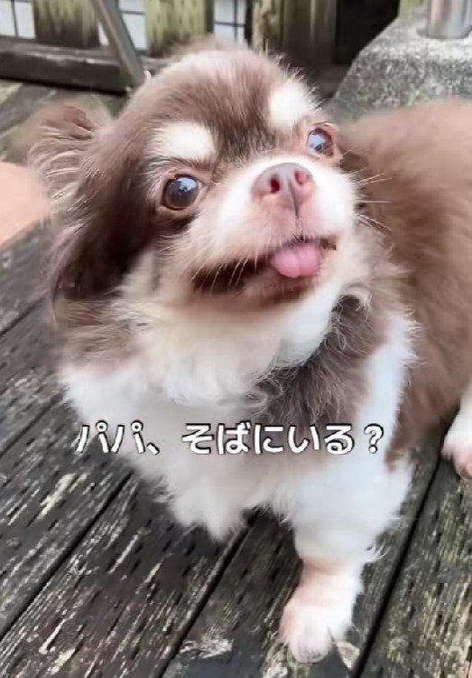 幸せな笑顔に感動…