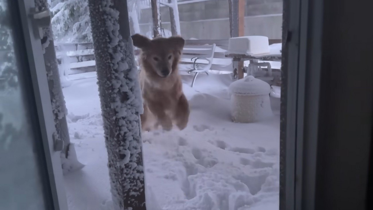 強い風が吹いたら…